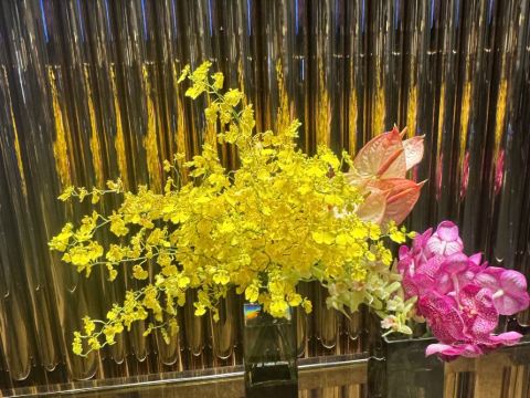 新竹豐邑喜來登大飯店優惠