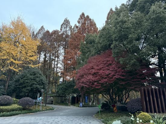 杭州千禧度假酒店優惠