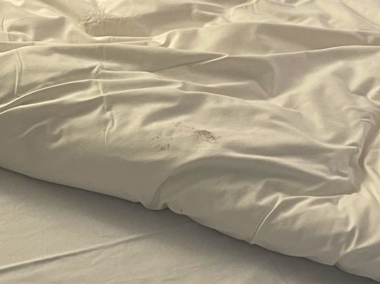 巴黎 波特蒙特勒伊德宜必思快捷酒店優惠