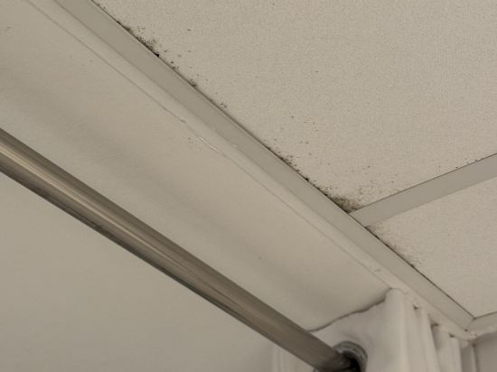 倫敦肯辛頓希爾頓酒店優惠