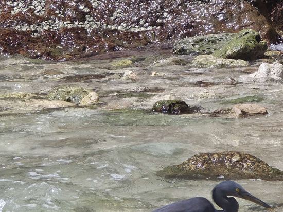 普吉島美林海灘萬豪度假飯店優惠