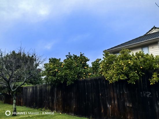 羅託魯瓦國敦酒店優惠