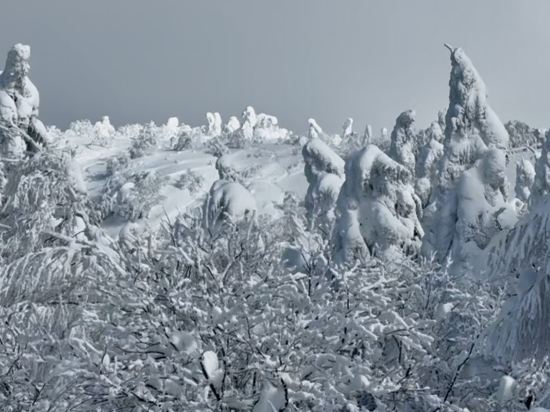 ＫＫＲ蔵王 白銀荘（国家公務員共済組合連合会蔵王保養所） クーポン