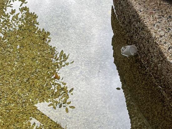 台山頤和温泉城大酒店優惠