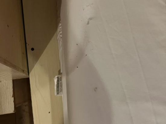 深圳龍鑫酒店優惠