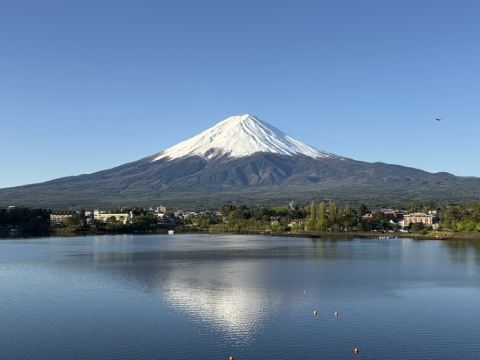 河口湖ホテルニューセンチュリー クーポン
