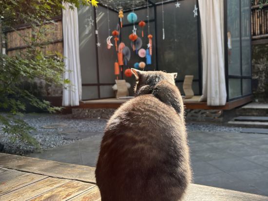 西湖出釉民宿優惠