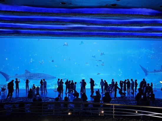 長隆馬戲飯店（珠海海洋王國店）優惠