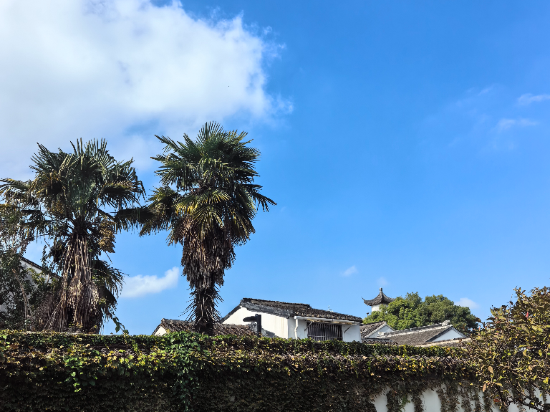蘇州書香府邸平江府優惠