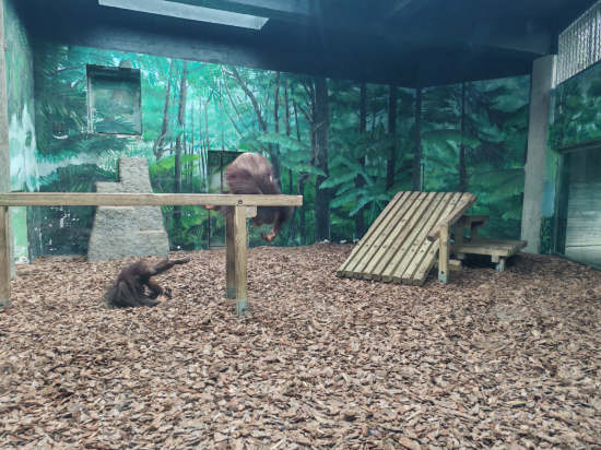 望聽錦繡民宿（上海國際旅遊度假區店）優惠