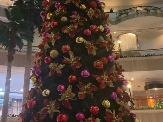 深圳陽光酒店優惠