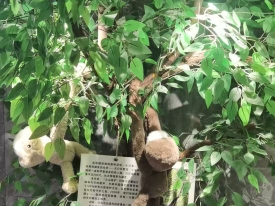 深圳南山亞朵S酒店優惠