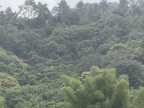 廣州碧水灣温泉度假村優惠