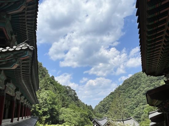 소백산 펜션 쿠폰