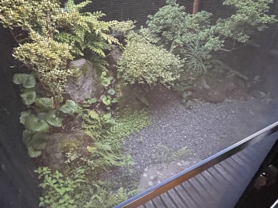 六妙溫泉湯日式旅館優惠