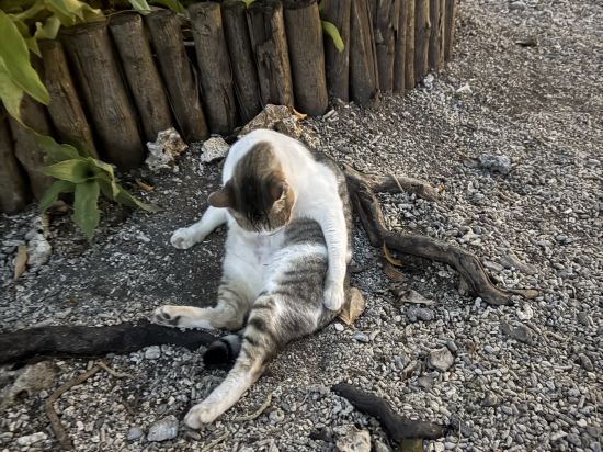 藍水舒米里恩島嶼度假村優惠