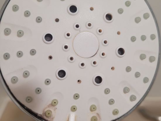 F-商旅（臺中麗加園邸）優惠