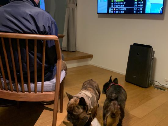 Rakuten STAY Atami優惠