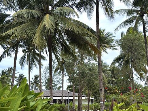 瑞僖敦民丹島度假村優惠