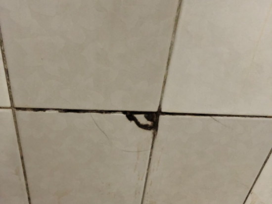 臺中富帝大飯店優惠