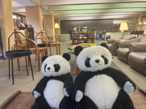 白浜館 クーポン