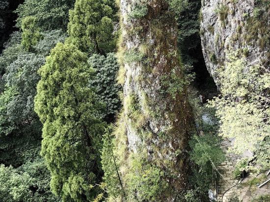 溫州開元名庭大飯店優惠