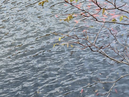 汐悅飯店公寓（青島五四廣場店）優惠