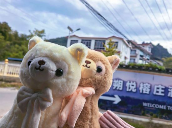 陽朔悦榕莊優惠