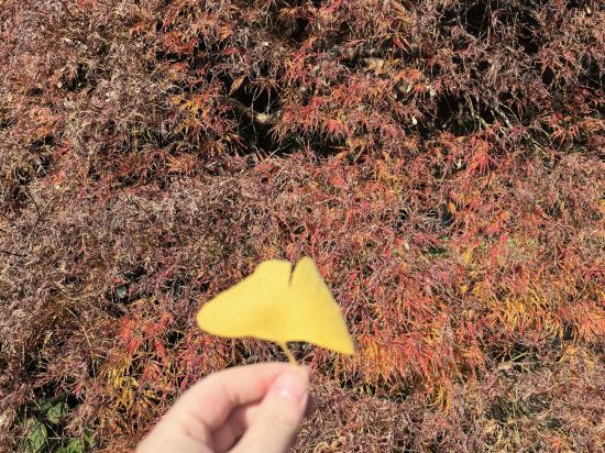 上海西郊賓館優惠