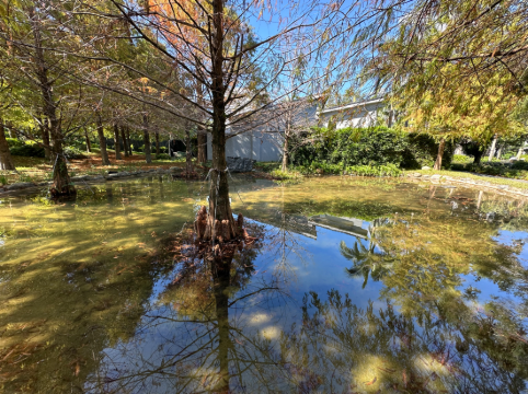 秧悦美地渡假酒店優惠