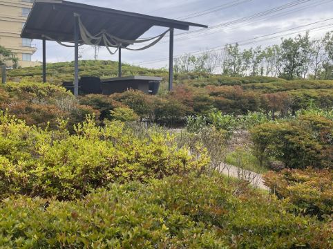 星野リゾート 界 遠州 クーポン