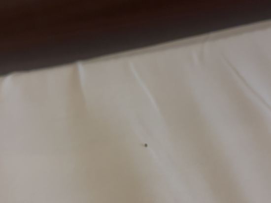 杜拜迪爾拉皇冠假日酒店優惠