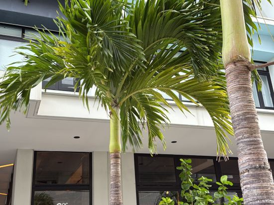 那霸雞尾酒住宿飯店優惠