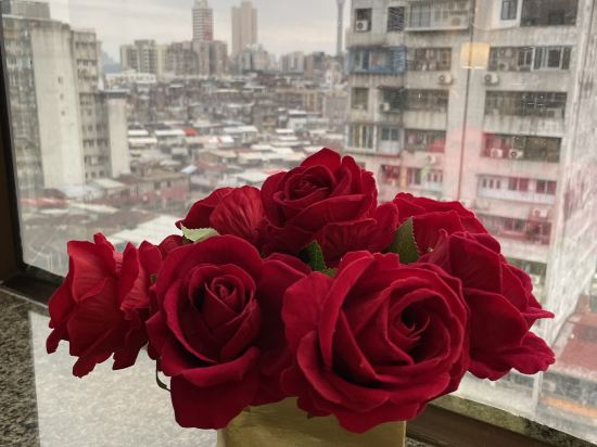 澳門藝舍 - （前 澳門新新酒店）優惠