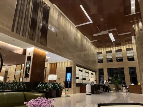 Shenzhen L'Hermitage Khu vực công cộng Photos