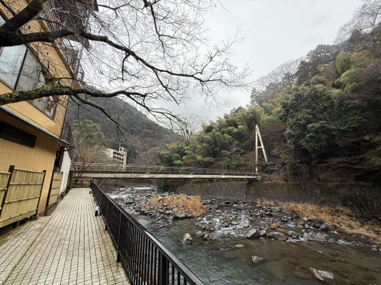 箱根温泉　鶴井の宿　紫雲荘 クーポン