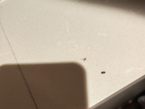 新興賢居温泉度假酒店優惠