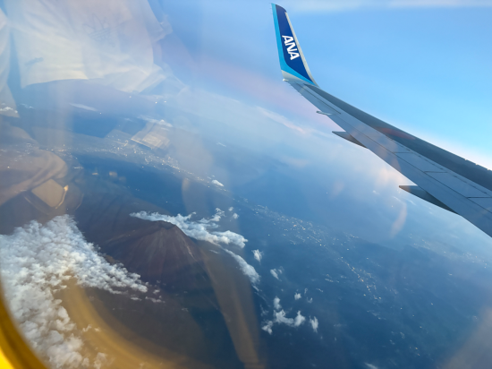 新宿ワシントンホテル 新館 クーポン