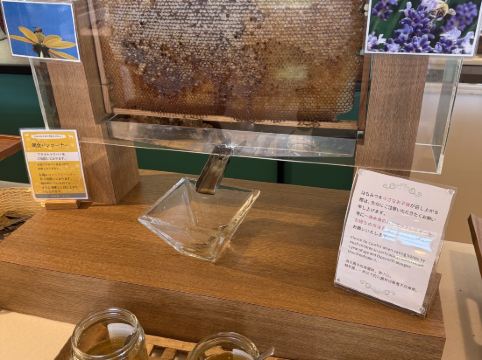 知床第一ホテル クーポン