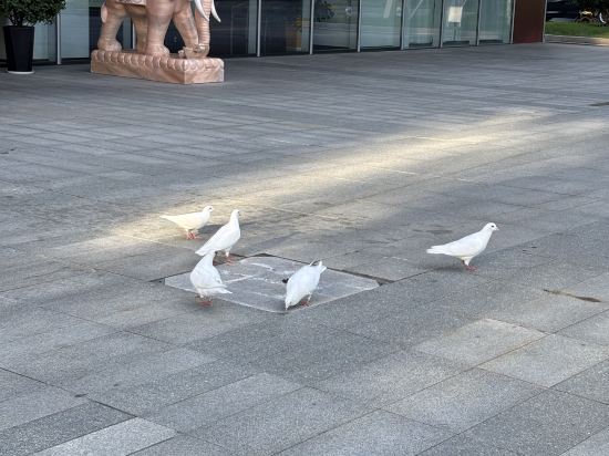 杭州未來科技城盈陽君亭酒店優惠