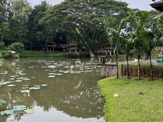 清邁四季度假酒店優惠