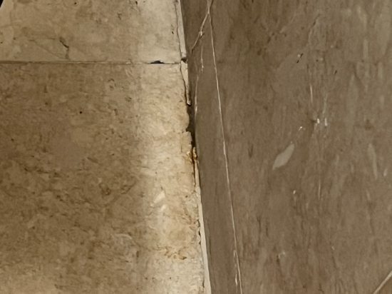 大阿斯頓格羅夫套房飯店優惠