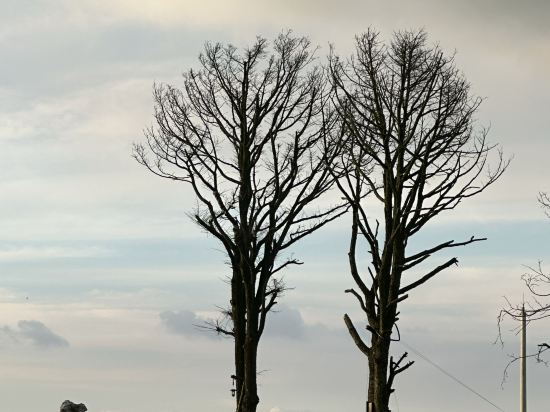 安寧溫泉半島度假飯店優惠
