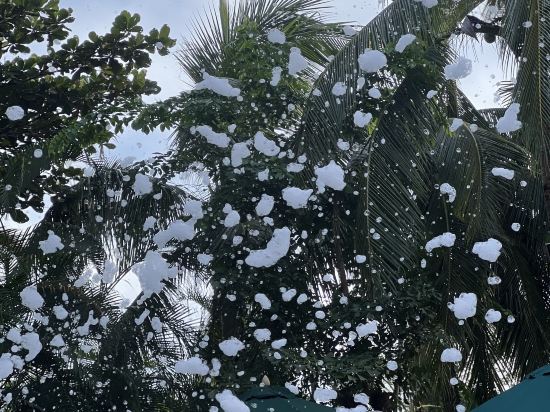 三亞灣海居鉑爾曼度假酒店優惠