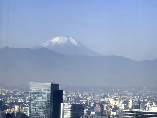 東京新大谷酒店花園塔酒店優惠