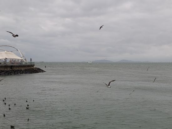 Incheon (Yeonanbudu) THE K-HOTEL 쿠폰