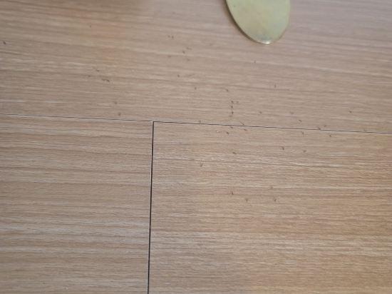 紅門酒店@帕拉尼亞克月球漫步店優惠