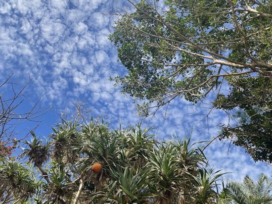 小琉球樂嶼日出民宿優惠