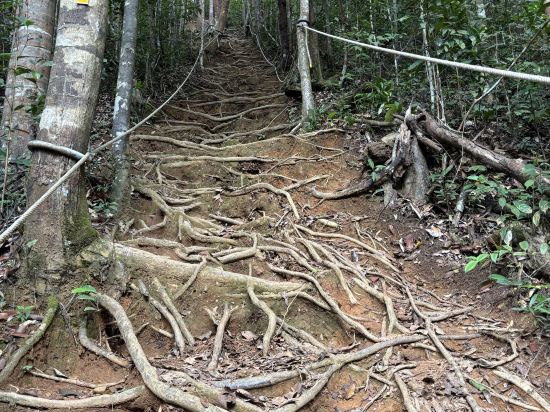 居鑾阿尼卡酒店優惠