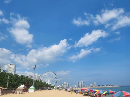 호텔더블루테라 쿠폰